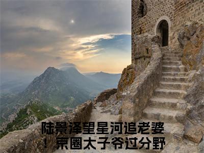 陆景泽望星河小说全文免费阅读_（追老婆！京圈太子爷过分野！）陆景泽望星河完结版在线阅读最新章节列表笔趣阁