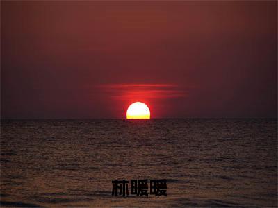 抛弃古代大将军后，我选择独美全文（林暖暖）全文免费阅读无弹窗大结局_（林暖暖）最新章节列表