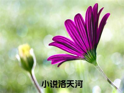 （免费）+（全文）师傅别打了，小师弟都快成神了（洛天河）免费阅读最新章节无弹窗洛天河完整版小说在线阅读