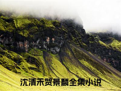 （分手后才知，我是疯批大佬白月光）全文免费阅读无弹窗大结局_沈清禾贺景麟完整版最新阅读_笔趣阁（分手后才知，我是疯批大佬白月光）