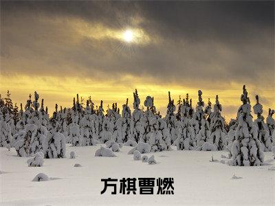 眼砂（方棋曹燃）全文免费阅读无弹窗大结局_眼砂方棋曹燃_笔趣阁