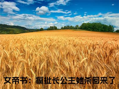 沈雁（女帝书：疯批长公主她杀回来了）全文免费阅读无弹窗大结局_女帝书：疯批长公主她杀回来了全文免费阅读_笔趣阁