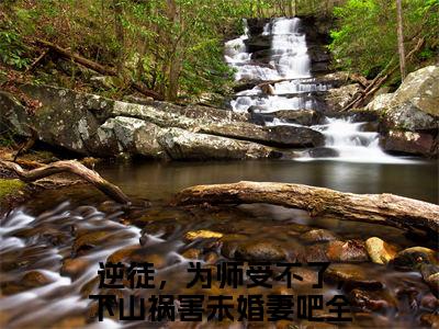 夏云帆（逆徒，为师受不了，下山祸害未婚妻吧）未删减-夏云帆完结版阅读地址