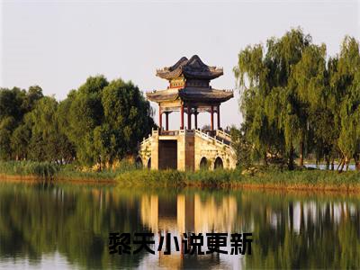 通天代小说黎天完整版全文在线赏析-小说通天代全文大结局已完结