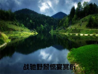 (番外)+(全文)战驰野黎惊宴后续+番外小说免费下载阅读战驰野黎惊宴后续+番外小说最新章节列表_笔趣阁（战驰野黎惊宴后续+番外）