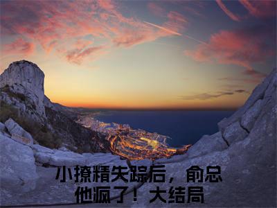 小撩精失踪后，俞总他疯了！（黎漫俞霁舟）全文免费阅读大结局_小撩精失踪后，俞总他疯了！全文在线完本阅读