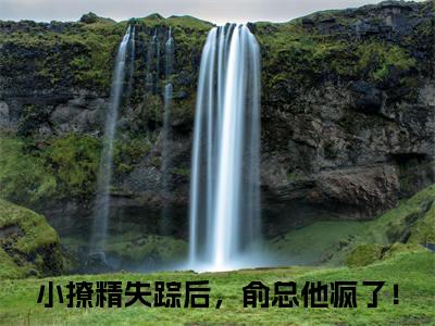 黎漫俞霁舟全文免费在线阅读_（小撩精失踪后，俞总他疯了！全文免费阅读无弹窗大结局）黎漫俞霁舟最新章节列表笔趣阁