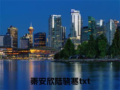 三爷，夫人带崽从地狱杀回来了小说（秦安欣陆骁寒）全文免费阅读无弹窗大结局_（秦安欣陆骁寒）最新章节列表（秦安欣陆骁寒）
