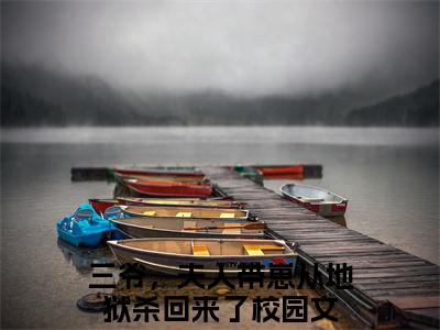 三爷，夫人带崽从地狱杀回来了（秦安欣陆骁寒）全文免费阅读无弹窗大结局_三爷，夫人带崽从地狱杀回来了最新章节列表