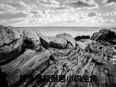 颜泽诚顾婉君小说(颜泽诚顾婉君)免费阅读无弹窗，小说名字是：颜泽诚顾婉君的小说在线阅读无删减