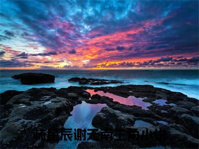 林星辰谢无南小说（林星辰谢无南）全文免费阅读无弹窗大结局_（林星辰谢无南小说全文免费阅读无弹窗）林星辰谢无南最新章节列表_笔趣阁（林星辰谢无南小说）