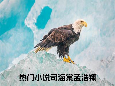 司海棠孟浩翔小说全文（司海棠孟浩翔）全文免费阅读无弹窗大结局_司海棠孟浩翔小说全文最新章节列表_笔趣阁(司海棠孟浩翔小说全文）