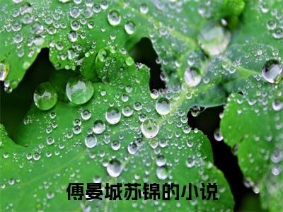 傅晏城苏锦（傅晏城苏锦）小说全文免费阅读无弹窗大结局_（傅晏城苏锦）傅晏城苏锦小说全文免费阅读最新章节列表笔趣阁（傅晏城苏锦）