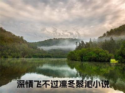 深情飞不过凛冬黎沁小说（深情飞不过凛冬黎沁）完整版全文在线赏析-小说全文大结局已完结