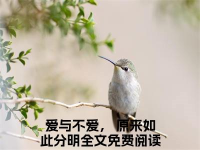 杜若洲顾北辰（爱与不爱， 原来如此分明）全文免费阅读无弹窗大结局_杜若洲顾北辰最新章节列表（爱与不爱， 原来如此分明）