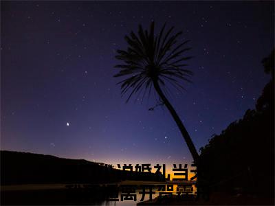 婚礼当天，我死遁离开贺霆舟（婚礼当天，我死遁离开贺霆舟）最新章节免费阅读全文-婚礼当天，我死遁离开贺霆舟完结小说在线阅读