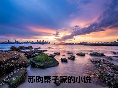 小说完整版阅读-苏昀秦子琛美文欣赏