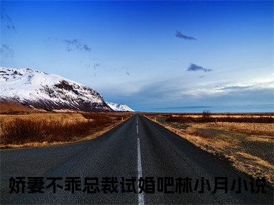 新书热荐娇妻不乖总裁试婚吧林小月全文免费阅读无弹窗大结局-小说娇妻不乖总裁试婚吧林小月全文完整版免费阅读