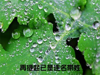 祁晏礼曲娴（再提起已是连名带姓）小说全文免费阅读无弹窗大结局_（祁晏礼曲娴全文免费阅读）再提起已是连名带姓最新章节列表