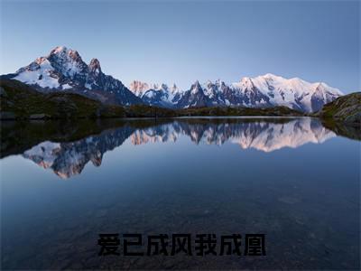 徐之南林慕夏在线阅读（爱已成风我成凰小说）全文免费阅读无弹窗大结局_徐之南林慕夏免费最新章节列表