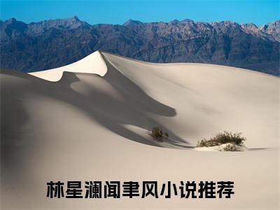 林星澜闻聿风（林星澜闻聿风）小说全文免费阅读无弹窗大结局_（林星澜闻聿风）林星澜闻聿风小说全文免费阅读最新章节列表笔趣阁（林星澜闻聿风）