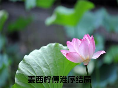 姜西柠傅淮序最新章节在线阅读-姜西柠傅淮序全文小说
