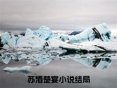 苏酒楚宴小说免费阅读无弹窗《苏酒楚宴》_苏酒楚宴全文阅读