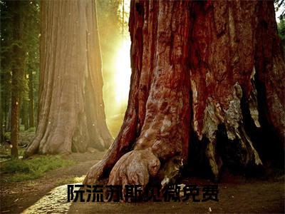快手热推免费新书阮流苏斯见微小说全文完整版-阮流苏斯见微完整版全文在线赏析
