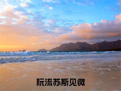 阮流苏斯见微（阮流苏斯见微）全文小说-（阮流苏斯见微）小说最新章节免费阅读