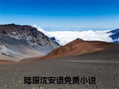 陆琛沈安语独家小说-陆琛沈安语无删版小说推荐