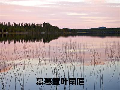 慕寒萱叶南庭的小说（寒风飘飘落叶）免费阅读_慕寒萱叶南庭小说免费阅读-笔趣阁（寒风飘飘落叶）