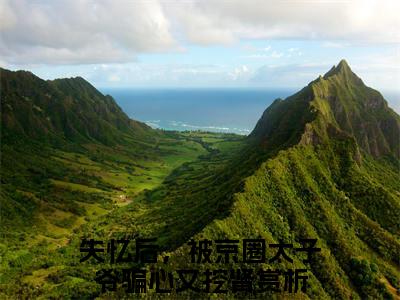 祁轩南锦（失忆后，被京圈太子爷骗心又挖肾）小说多人阅读-小说失忆后，被京圈太子爷骗心又挖肾在哪里看免费