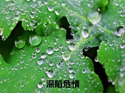 江瑶贺远潇免费小说全文免费阅读无弹窗大结局_深陷危情完结版在线阅读