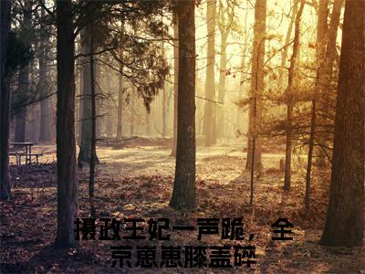 摄政王妃一声跪，全京崽崽膝盖碎免费阅读（姜云初宁承言）完整版全文全章节阅读