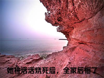 虞疏晚慕时安小说在线阅读（她被活活烧死后，全家后悔了）全文免费阅读无弹窗大结局