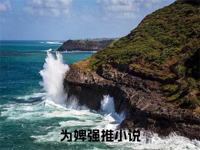 为婢免费阅读（云姝夜凌）全文免费阅读无弹窗大结局_为婢免费阅读最新章节列表