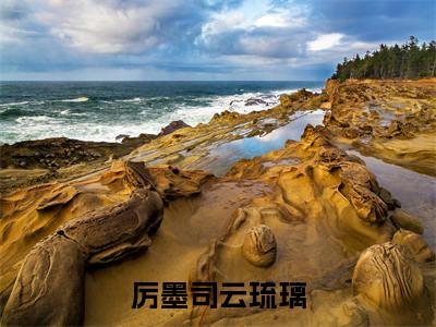 厉墨司云琉璃（腹黑三宝：渣爹追妻火葬场）抖音热推小说全集无删减_（腹黑三宝：渣爹追妻火葬场免费阅读全文大结局）最新章节列表_笔趣阁