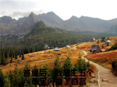 乾多多陆夜琛（被绿后，我怒生五个萌宝闪婚了首富）全文免费阅读无弹窗大结局_（乾多多陆夜琛阅读无弹窗）被绿后，我怒生五个萌宝闪婚了首富最新章节列表