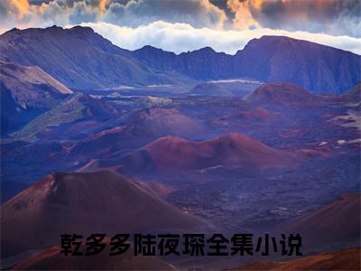 乾多多陆夜琛（被绿后，我怒生五个萌宝闪婚了首富）小说全文免费阅读无弹窗大结局_被绿后，我怒生五个萌宝闪婚了首富全文免费阅读
