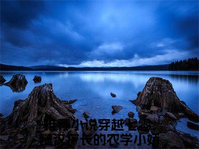 莫悍山欧允棠（穿越七零，糙汉厂长的农学小娇妻）全文免费阅读_穿越七零，糙汉厂长的农学小娇妻全文阅读_笔趣阁