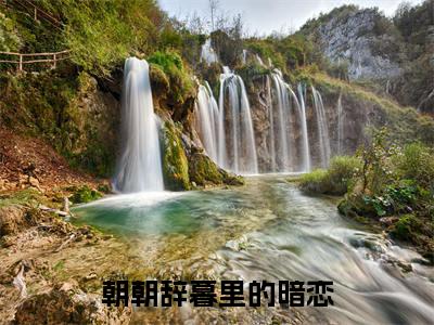 傅辞野许暮晚全文免费阅读大结局朝朝辞暮里的暗恋最新章节列表