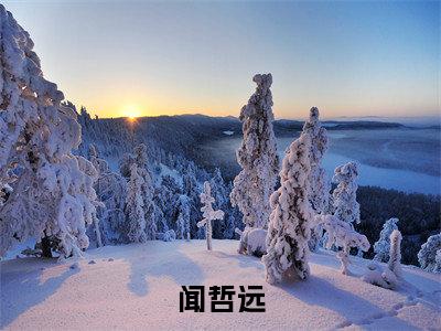 闻哲远（八零外交官妻子的悔恨）全文免费阅读无弹窗大结局_八零外交官妻子的悔恨小说最新章节列表_笔趣阁（闻哲远）