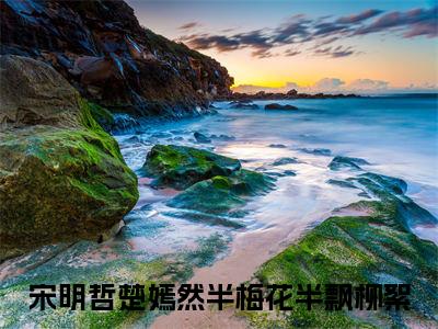 半梅花半飘柳絮（宋明哲楚嫣然）全文免费半梅花半飘柳絮读无弹窗大结局_半梅花半飘柳絮免费宋明哲楚嫣然读最新章节列表_笔趣阁