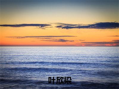 叶欣染小说在线阅读（穿到荒年，神医娇妻养崽暴富）全文免费阅读无弹窗大结局