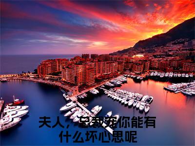 夫人，总裁宠你能有什么坏心思呢（黎芸汐殷时寒）完整版小说阅读大结局_夫人，总裁宠你能有什么坏心思呢（黎芸汐殷时寒）全文免费阅读笔趣阁
