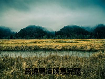 萧逸寒凌晚意全文免费阅读无弹窗大结局-萧逸寒凌晚意全文在线阅读