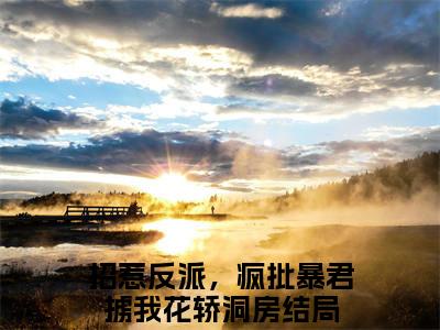 小说姬慎林立夏（招惹反派，疯批暴君掳我花轿洞房小说免费阅读）完结阅读_姬慎林立夏全文免费阅读最新章节大结局