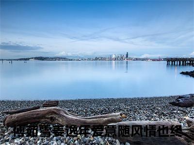 （傅茹雪姜逸年）全文免费阅读无弹窗大结局_（爱意随风情也终）章节列表_笔趣阁