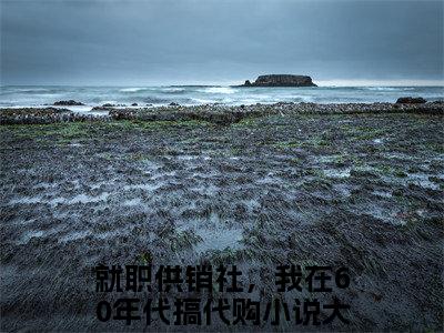 就职供销社，我在60年代搞代购（许姣姣）小说全文-就职供销社，我在60年代搞代购无弹窗免费阅读