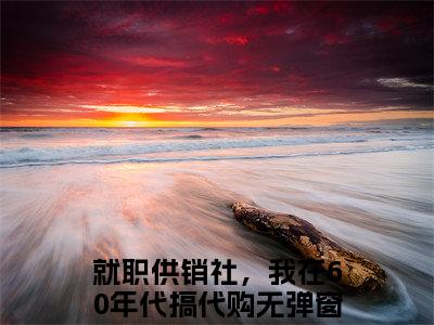 许姣姣在线阅读（就职供销社，我在60年代搞代购）全文免费阅读无弹窗大结局